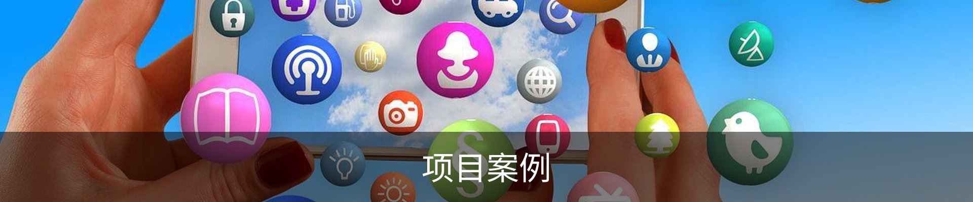 项目案例